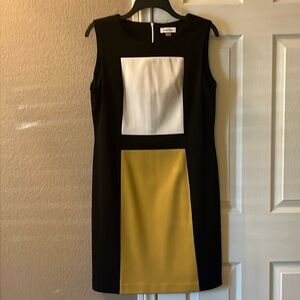 Calvin Klein color block dress